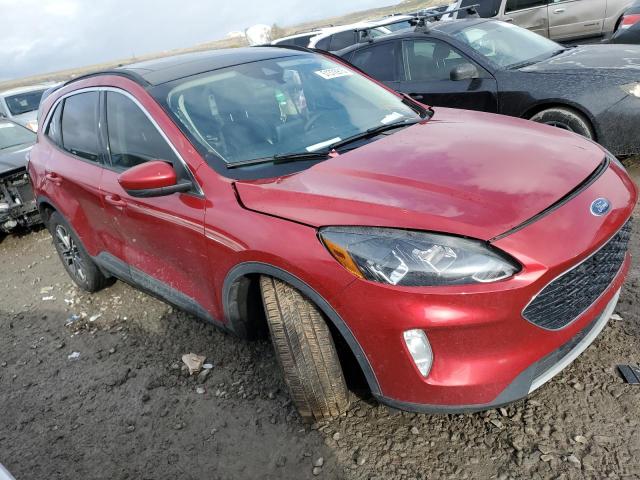  FORD ESCAPE 2020 Czerwony