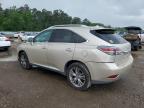 2014 Lexus Rx 350 for Sale in Greenwell Springs, LA - Front End