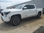 2024 Toyota Tacoma Double Cab للبيع في Jacksonville، FL - Rear End