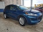 2020 Ford Escape Se for Sale in Kansas City, KS - Normal Wear
