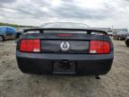 2005 Ford Mustang  de vânzare în Chatham, VA - Front End