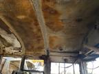 2016 Blue Bird School Bus / Transit Bus  de vânzare în Avon, MN - Burn
