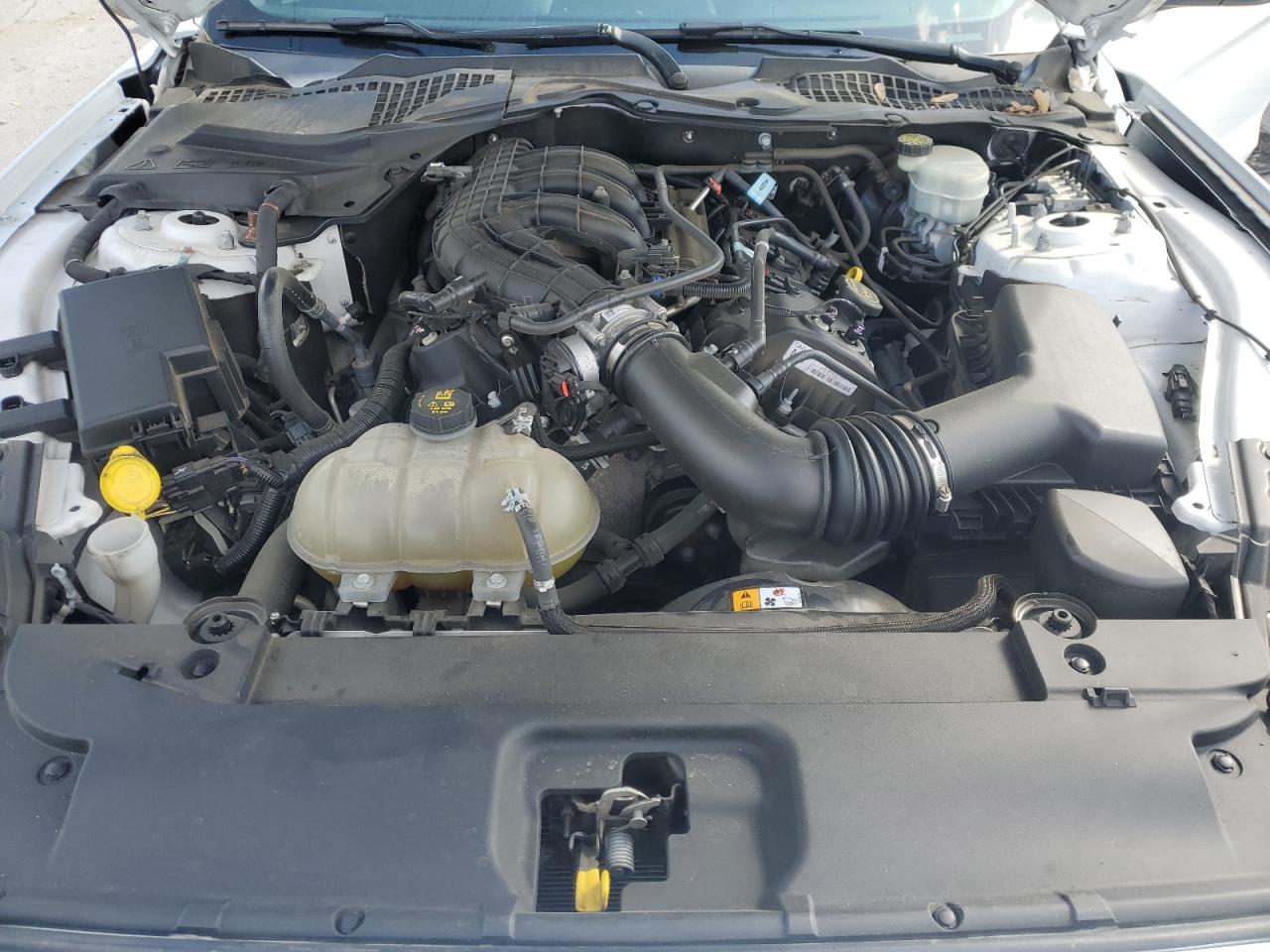 1FA6P8AM0G5322971 FORD ALL Models 2016