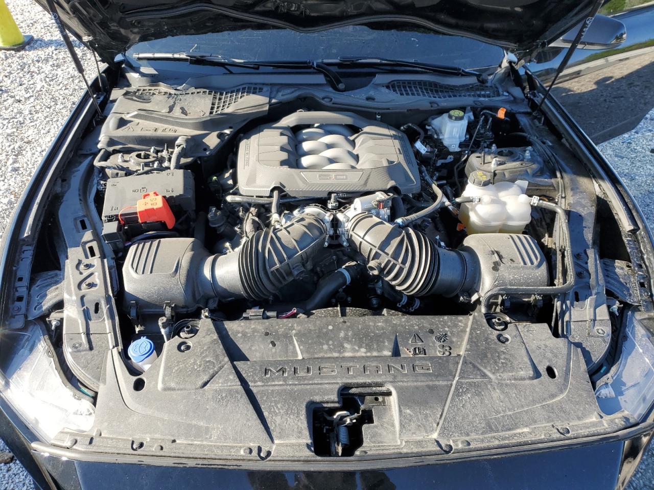 2024 Ford Mustang Gt VIN: 1FA6P8CF9R5435268 Lot: 51910165