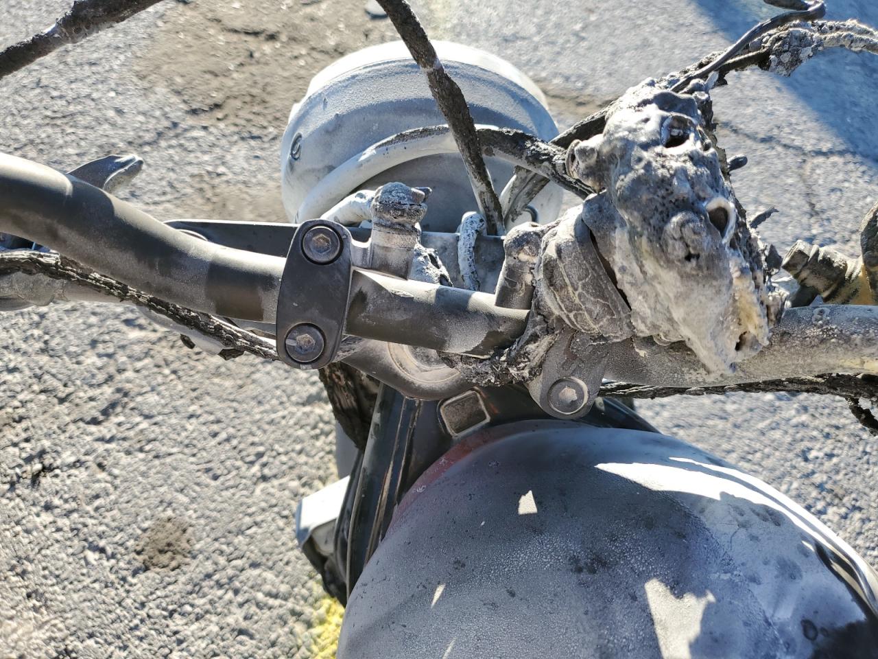 2023 Honda Cmx500 VIN: MLHPC5602P5600443 Lot: 54956725