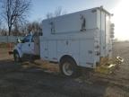 2013 Ford F650 Super Duty للبيع في Portland، MI - Front End