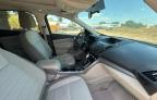 2013 Ford Escape Se for Sale in Apopka, FL - Mechanical