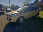 2015 Ford Escape Se en Venta en Memphis, TN - Mechanical