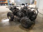 2006 Yamaha Yfm for Sale in Avon, MN - Burn
