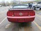 2007 Ford Mustang  en Venta en Louisville, KY - Front End