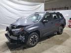 Candia, NH에서 판매 중인 2025 Subaru Forester  - Front End