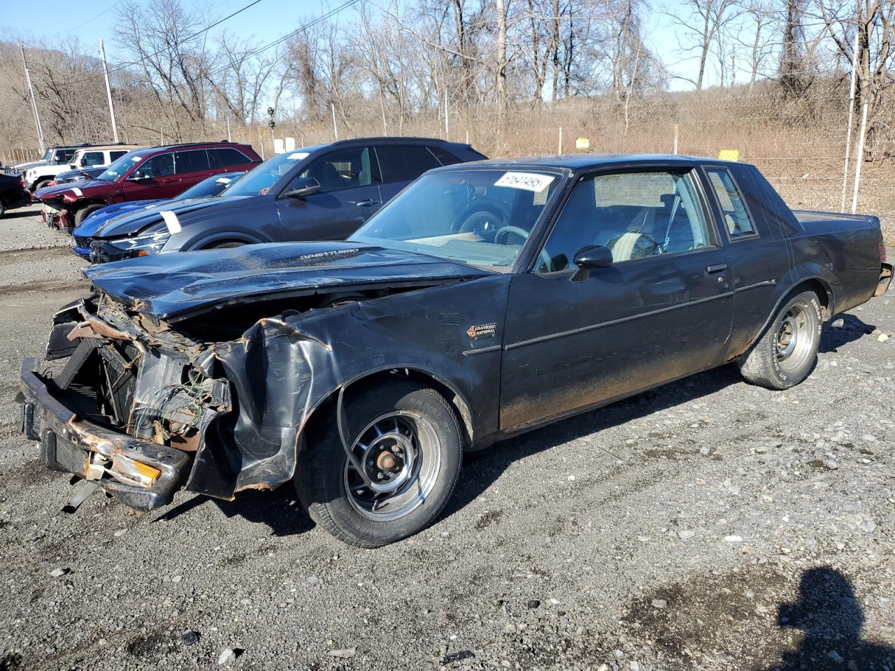 1987 Buick Regal للبيع في Marlboro، NY - Front End