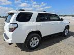 2024 Toyota 4Runner Sr5 на продаже в Homestead, FL - Minor Dent/Scratches