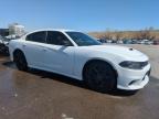 2020 Dodge Charger Gt   for Sale in Littleton, CO - Hail