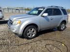 2012 Ford Escape Limited for Sale in Louisville, KY - Hail