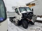 2023 Freightliner Cascadia 116  for Sale in Ham Lake, MN - Front End