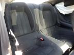 2019 Ford Mustang  for Sale in Marlboro, NY - Side