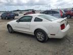 2005 Ford Mustang  for Sale in Jacksonville, FL - Front End