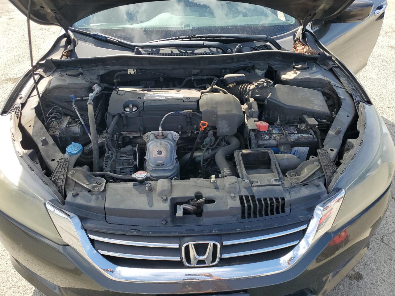 2013 Honda Accord Lx VIN: 1HGCR2F34DA186417 Lot: 53719895