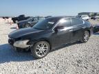 2009 Nissan Maxima S for Sale in Temple, TX - Front End