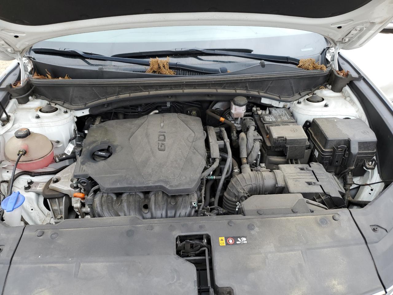 2022 Hyundai Tucson Limited VIN: 5NMJE3AE8NH051934 Lot: 51488775