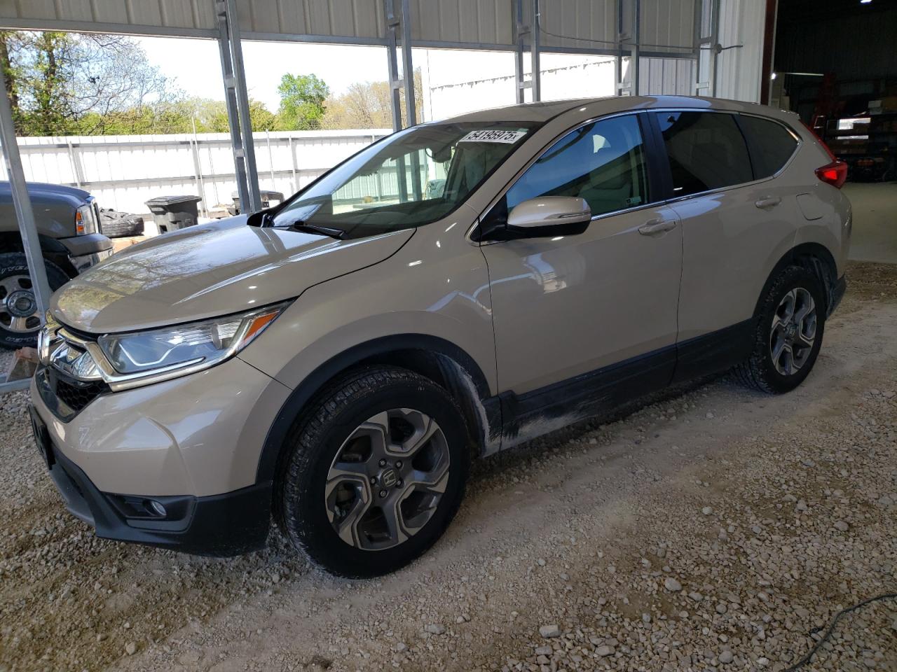 2019 Honda Cr-V Exl for Sale in Rogersville, MO - Side