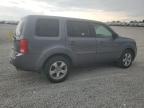 2015 Honda Pilot Exln продається в Earlington, KY - Hail