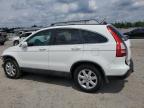 2009 Honda Cr-V Exl for Sale in Lumberton, NC - Front End