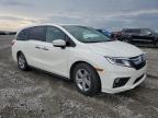 2019 Honda Odyssey Exl for Sale in Earlington, KY - Hail