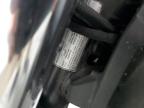 2023 Cf Moto 650Nk  for Sale in Dallas, TX - Side