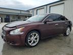 2014 Nissan Maxima S на продаже в Houston, TX - Normal Wear