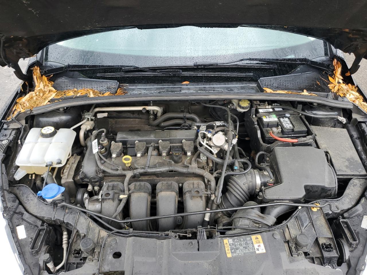 1FADP3K21GL350071 FORD FOCUS 2016