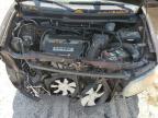 2007 Honda Element Sc en Venta en Jacksonville, FL - Front End