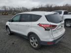 2013 Ford Escape Se на продаже в Marlboro, NY - Minor Dent/Scratches