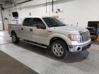 2011 Ford F150 Supercrew იყიდება Anchorage-ში, AK - Normal Wear