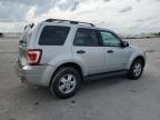2008 Ford Escape Xlt for Sale in Lebanon, TN - Rear End