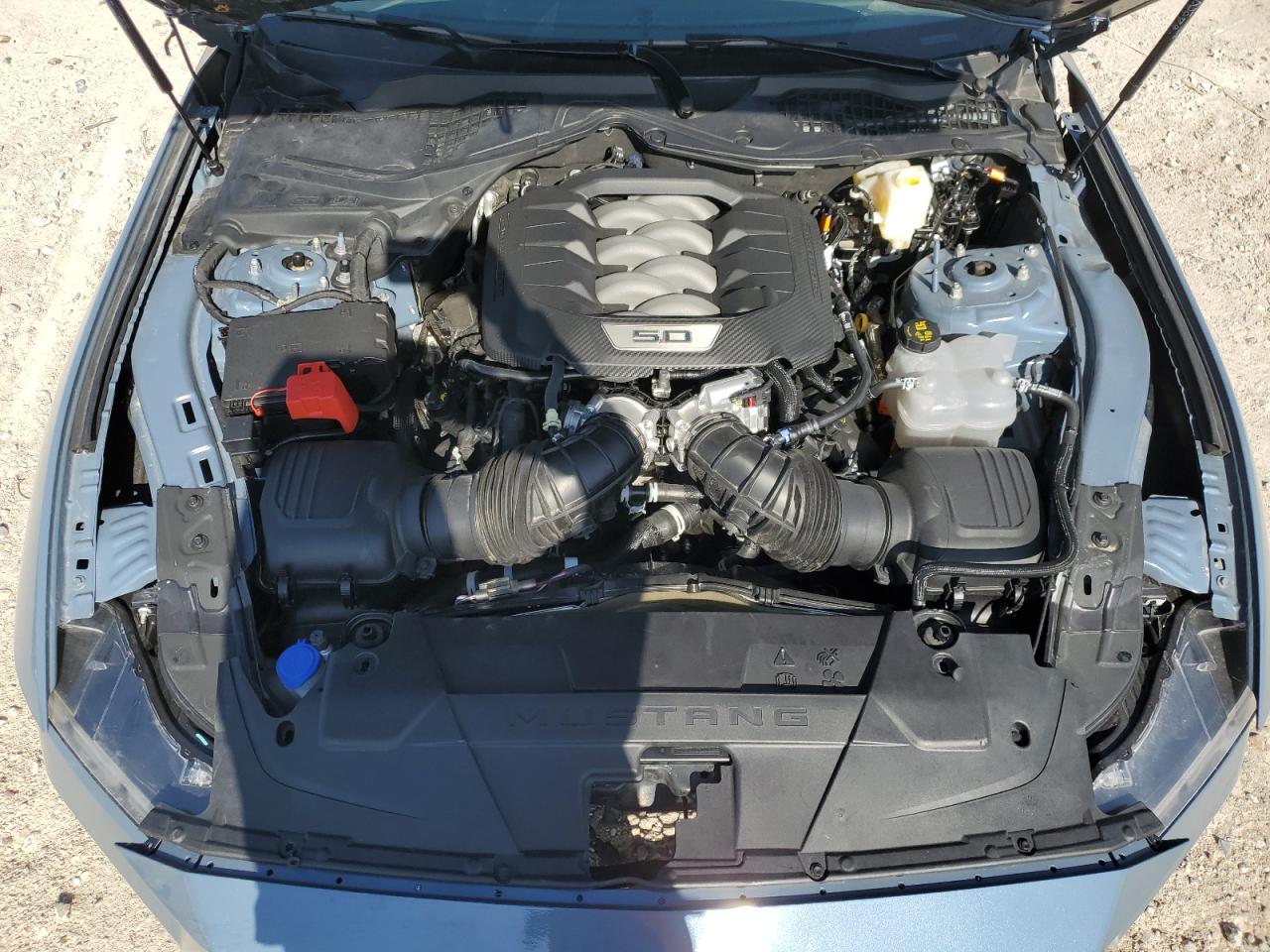 1FA6P8CF6R5426978 FORD MUSTANG 2024