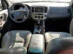2005 Ford Escape Xlt en Venta en Memphis, TN - Vandalism