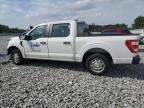 Apopka, FL에서 판매 중인 2023 Ford F150 Supercrew - Front End