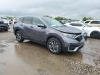 2022 Honda Cr-V Exl   na sprzedaż w Houston, TX - Front End