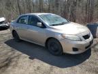 2010 Toyota Corolla Base for Sale in Cookstown, ON - Rear End