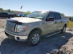2010 Ford F150 Supercrew იყიდება Montgomery-ში, AL - Rear End