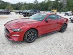2022 Ford Mustang  for Sale in Houston, TX - Rear End