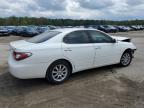 2002 Lexus Es 300 იყიდება Harleyville-ში, SC - Front End