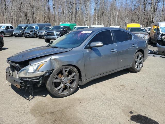 Sedans NISSAN MAXIMA 2014 Szary