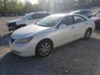 2009 Lexus Es 350 na sprzedaż w Madisonville, TN - Minor Dent/Scratches