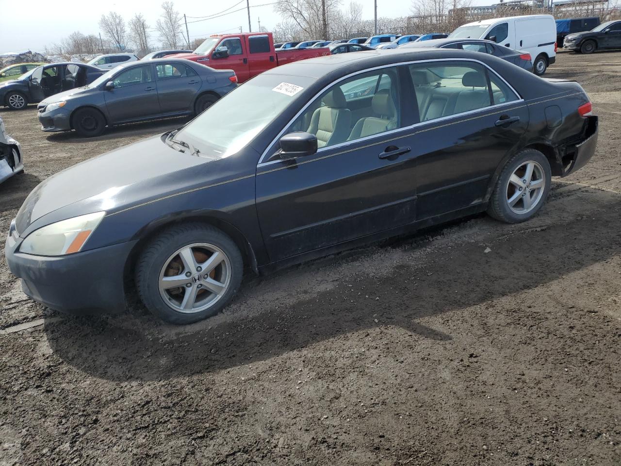 2004 Honda Accord Ex იყიდება Montreal-est-ში, QC - Rear End