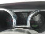 2009 Ford Mustang  zu verkaufen in West Palm Beach, FL - Normal Wear