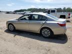 2015 Honda Accord Exl for Sale in Shreveport, LA - Front End