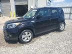 Memphis, TN에서 판매 중인 2019 Kia Soul  - Rear End